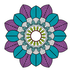 Beautiful mandala desing flower design indian vector icon