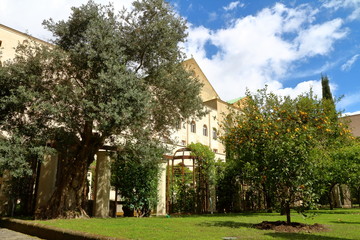 Santa Chiara cloister, Naples, Italy