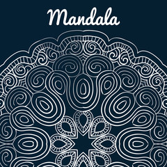 Beautiful mandala desing flower design indian vector icon