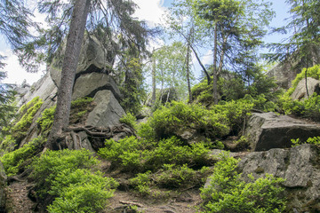 Ziemia Kłodzka - Szczeliniec Wielki © KrólestwoNauki