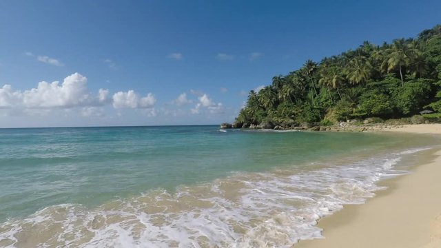 amazing caribbean beach in the dominican republic