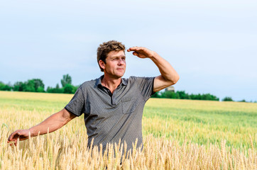 Naklejka na ściany i meble Man farmer in a field of wheat 