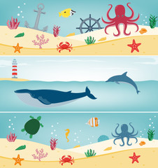 Fototapeta na wymiar Sea icons and symbols set. Sea animals. Nautical design elements. Concept website template. Vector