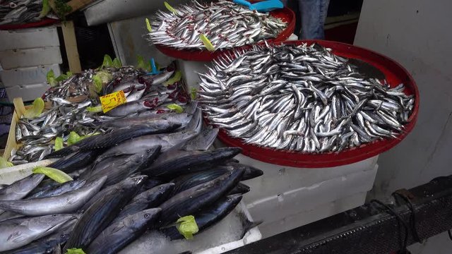 4K Fresh anchovy on counter at the fish market, trekking shot