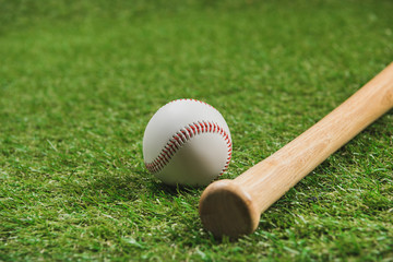 Close-up view of wooden baseball bat with ball on green grass