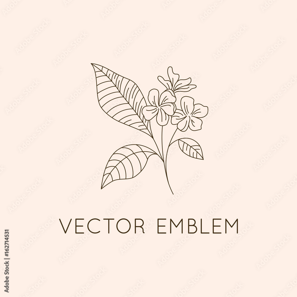 Poster vector logo design template - floral illustration in simple minimal linear style