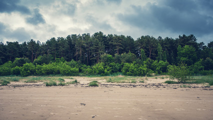 Fototapeta na wymiar Sand Dunes and forest on the shore of the Baltic sea