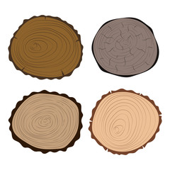 Wood slice texture tree circle cut raw material set detail plant years history textured rough forest vector illustration.