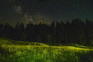 Stoff pro Meter Landscape of night with trees and stars in the sky © czamfir
