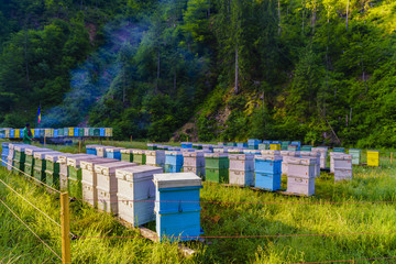 Fototapeta na wymiar Bee hives somewhere in the mountains