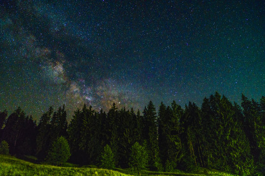 Landscape of night with trees and stars in the sky