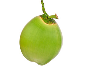 Green coconut fruit isolated on white background