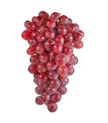 Fresh Watercress isolated on white background