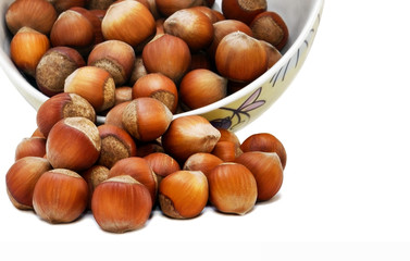 hazelnut