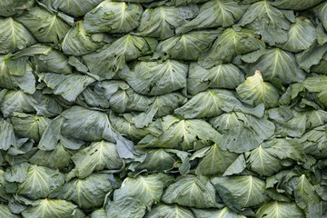 Fototapeta na wymiar Cabbages array on the market 