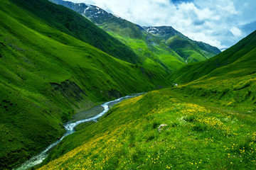 Fototapeta na wymiar Green caucassian valley looks like Alps