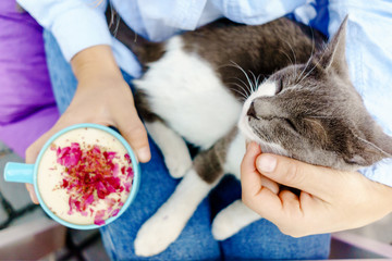 Girl in jeans jacket holding a cup of cappuccino with a cute cat
