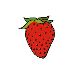strawberry fresh fruit dieting nutrition concept vector illustration