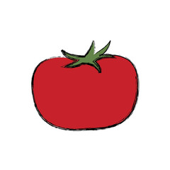 tomato vegetable nutrition food fresh product vector illustration