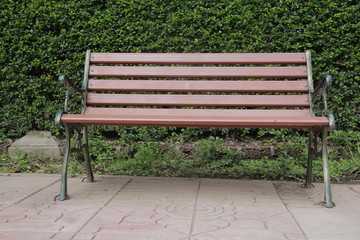 Fototapeta premium Benches placed in the park There are trees and a green background.