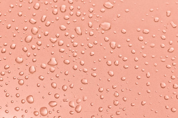 Background of water drops on the surface