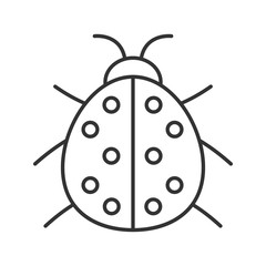Ladybug linear icon