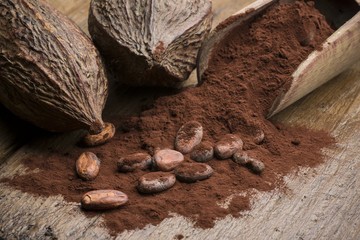 cocoa pods with cocoa beans and cocoa powder on wooden table