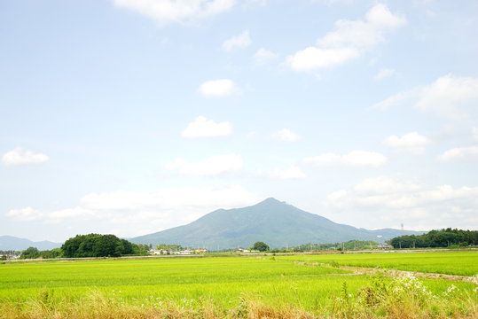 筑波山と田園風景