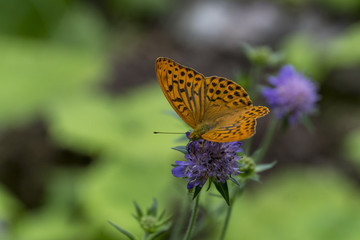 Natur Ferien Urlaub
