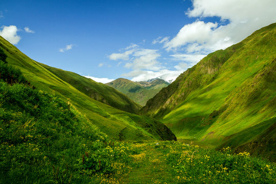 Fototapeta The green Caucasian valley in summer looks like Alps