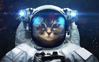 Science fiction space wallpaper with cat astronaut, incredibly beautiful planets, galaxies, dark...