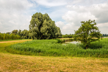 Curved embankment around a natural pond in a rural landscape