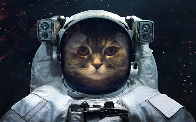Tapeta kosmiczna science fiction z kotem astronautą, niesamowicie pięknymi planetami, galaktykami, mrocznym i zimnym pięknem nieskończonego wszechświata. Elementy tego obrazu dostarczone przez NASA - 162723507
