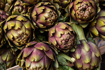 carciofi