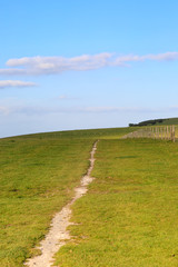 Pathway in the South Downs