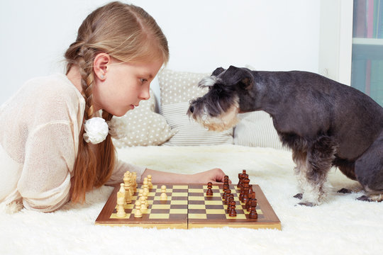 The dog teaches the child to play chess. Your turn
