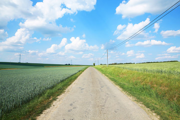 Fototapeta na wymiar Rural road in Wallonia, Belgium
