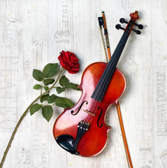 Fototapeta na wymiar antike Geige und rote Rose