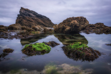 Fishing cove or castle giver cove cornwall england uk. Landscape seascape 