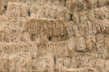 Hay Bales