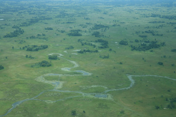 African savannah summer pictrures wild safari Tanzania Rwanda Botswana Kenya
