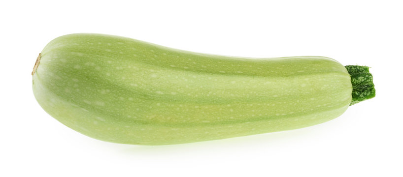 Squash vegetable marrow zucchini isolated on white background