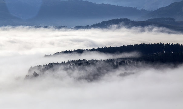 Niebla en el bvalle