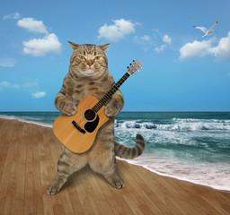 The cat with a guitar is on a deserted seashore. 