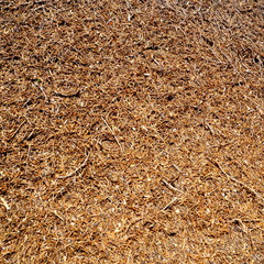 AMEISENHAUFEN