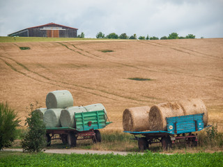 Obraz premium Ackerbau und Landwirtschaft