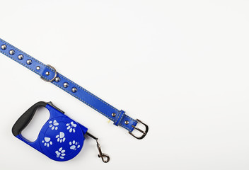 Strap and handle for dogs. Copy space.