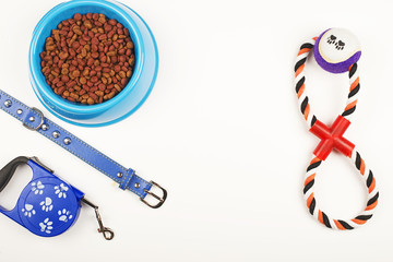 Food, toy and dog leash on white background. Isolated.