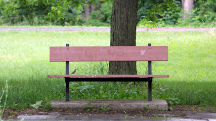 One bench