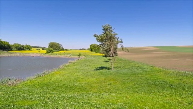 An image of nature with a pond in the wind.